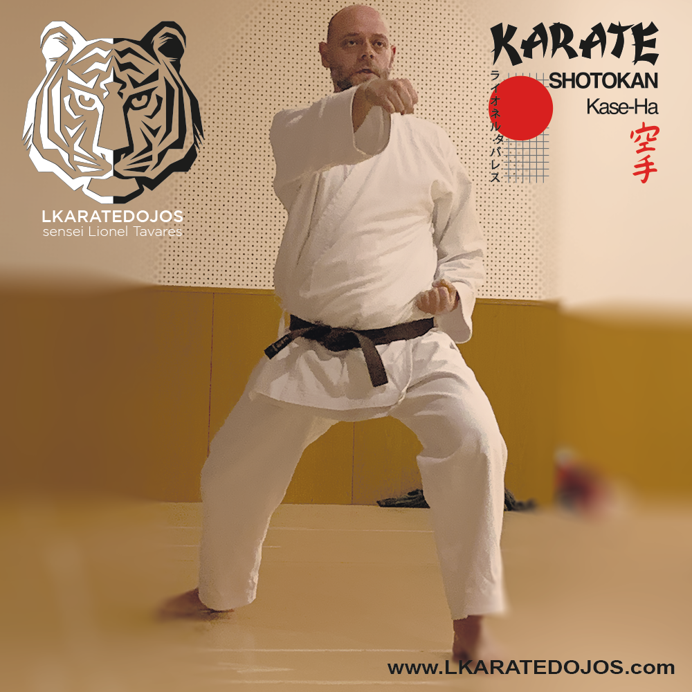 Lkaratedojos 11