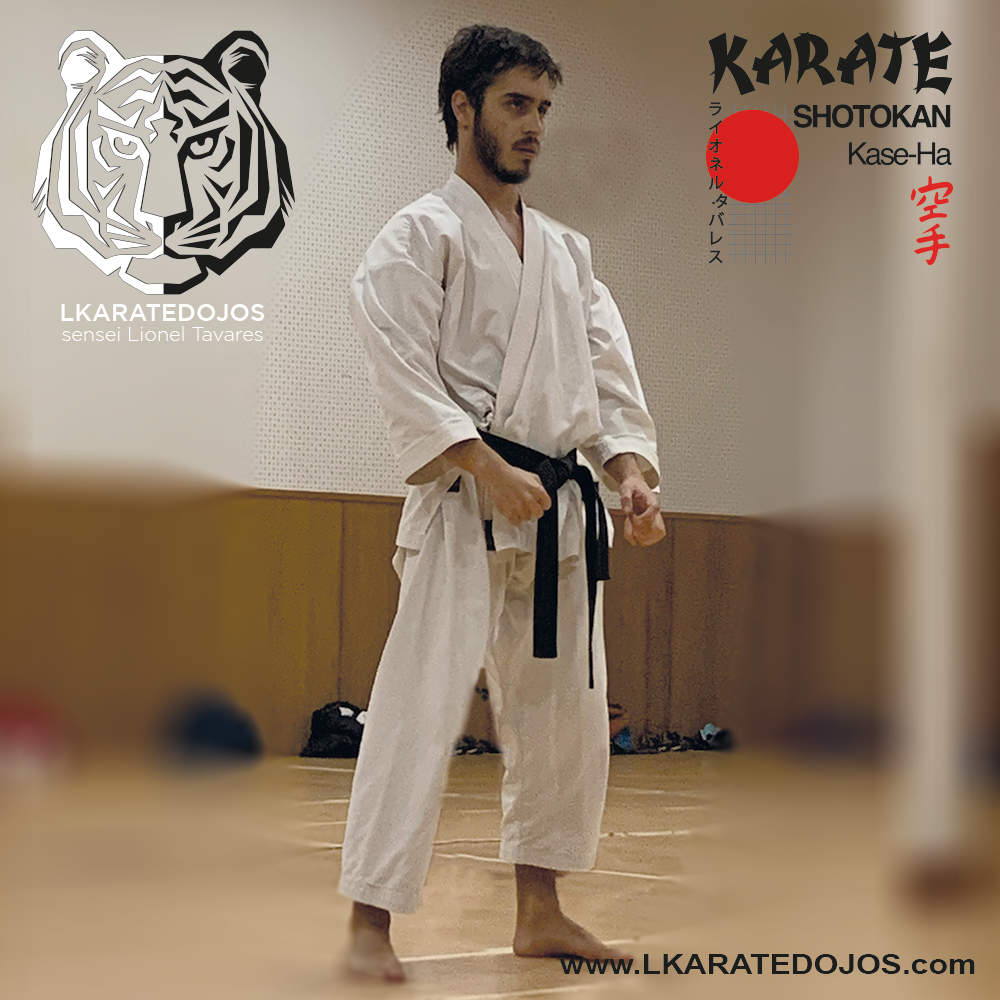 Lkaratedojos 17
