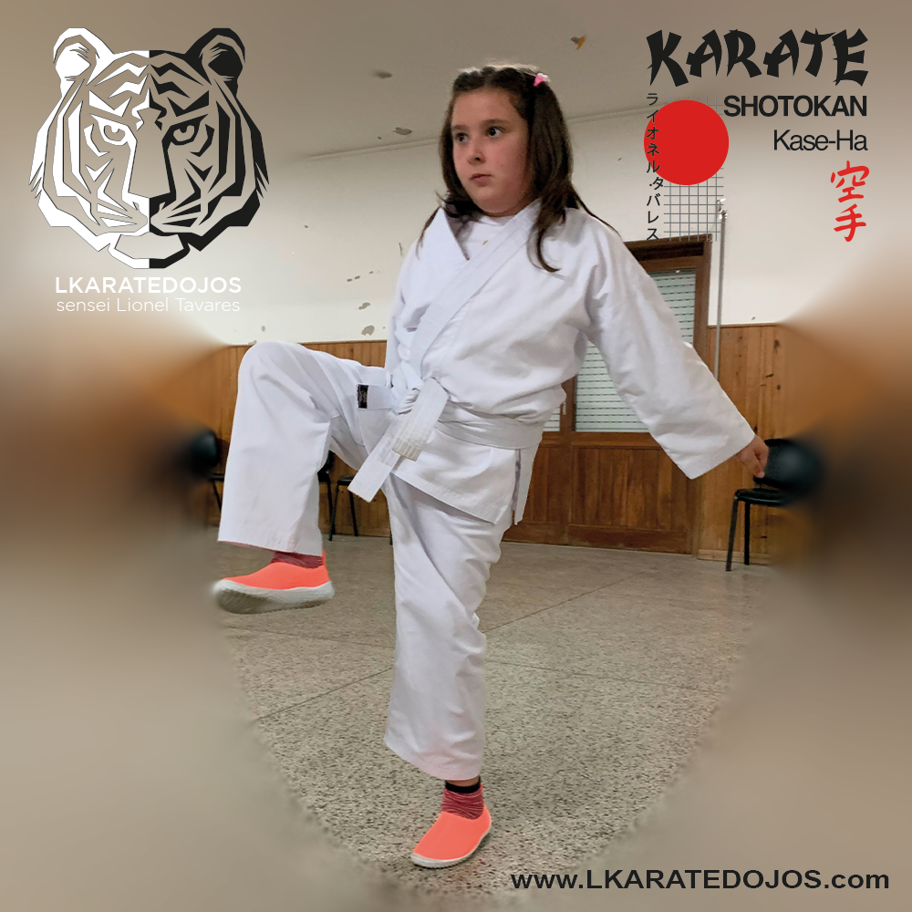 Lkaratedojos 20
