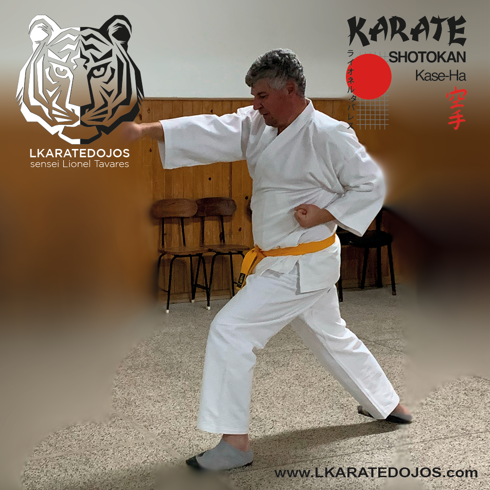 Lkaratedojos 22