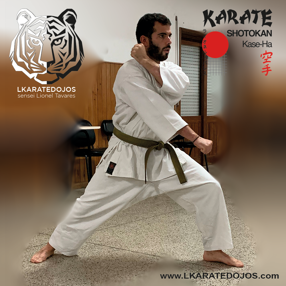 Lkaratedojos 24