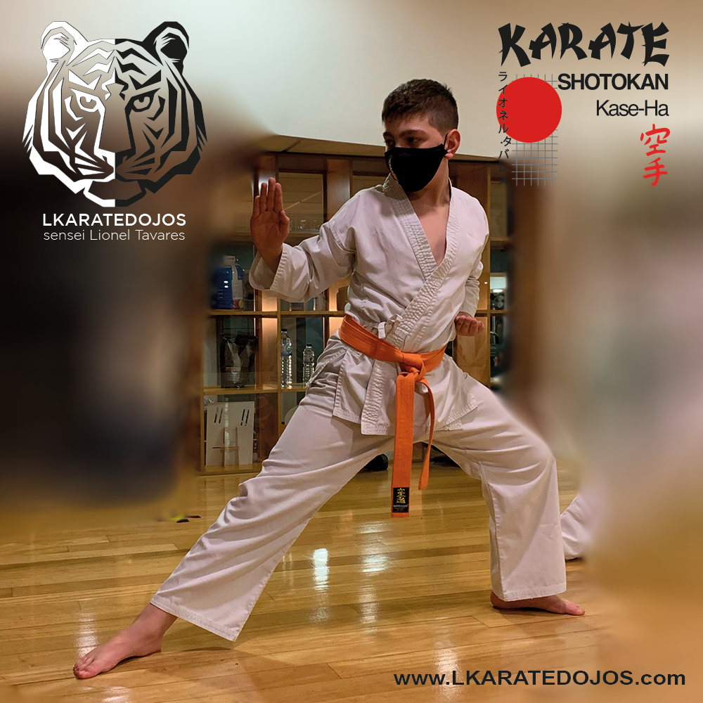 Lkaratedojos 27