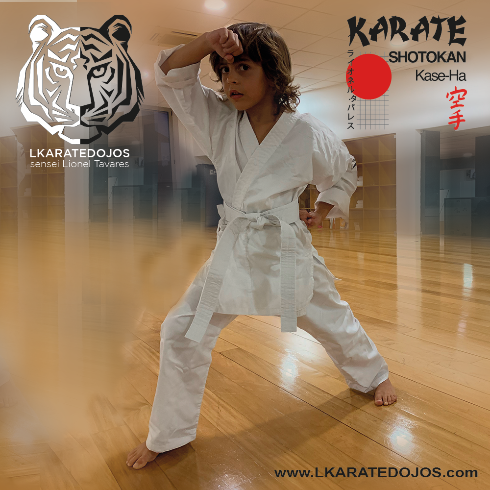 Lkaratedojos 28