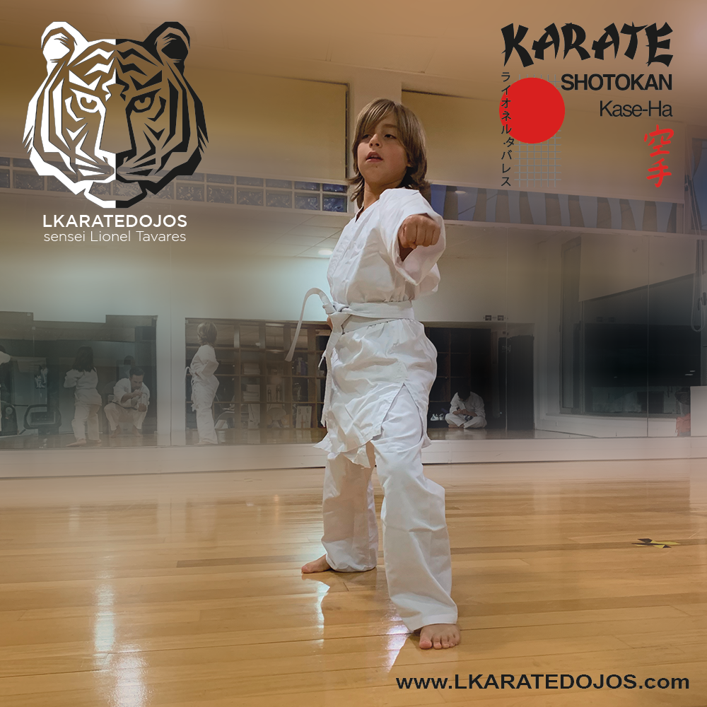 Lkaratedojos 31