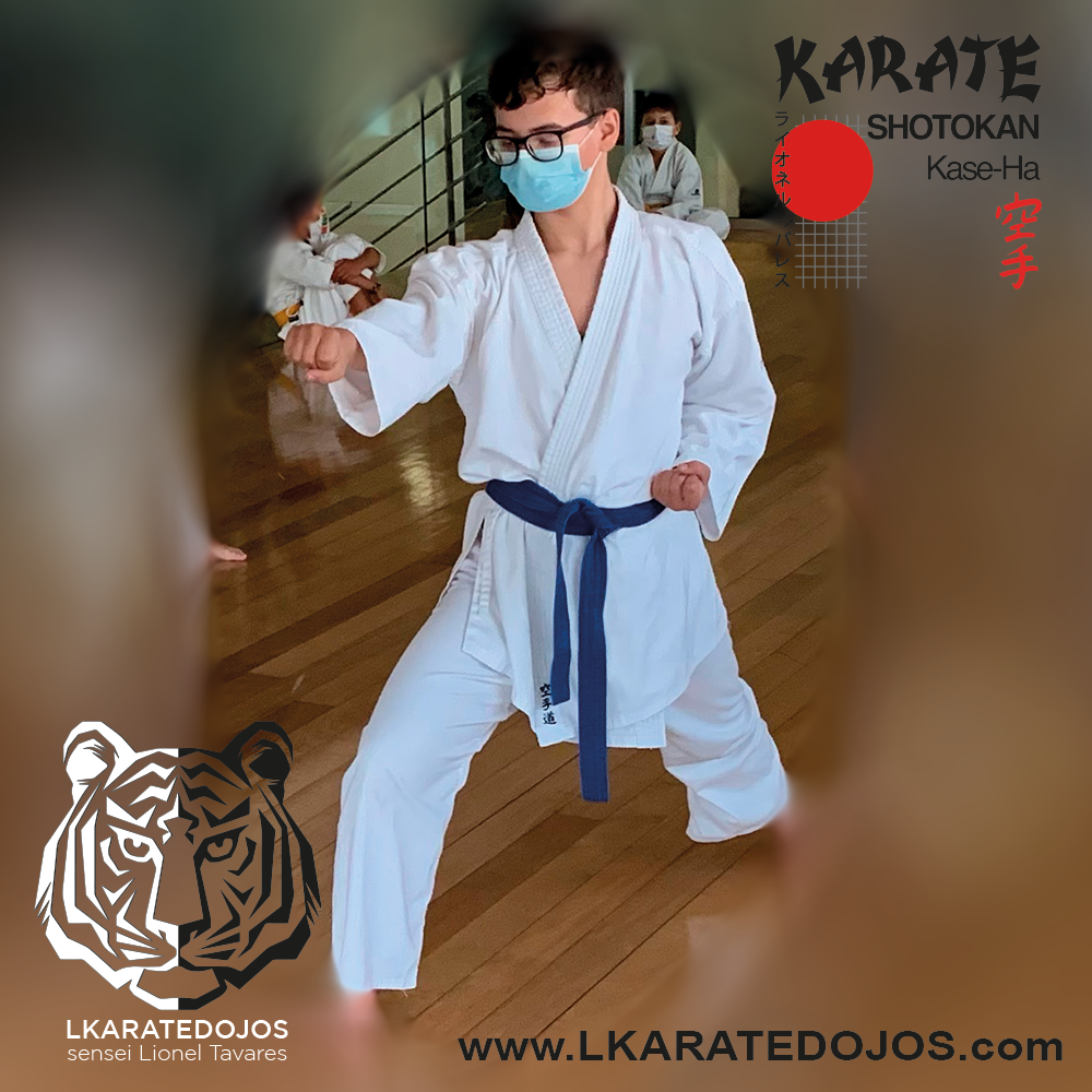 lkaratedojos 1
